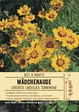 Coreopsis grandiflora"Sonnenkind",Mädchenauge, 9x9 cm Topf, Beetstaude