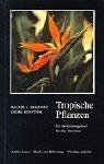 Tropische pflanzen ein - tropische,