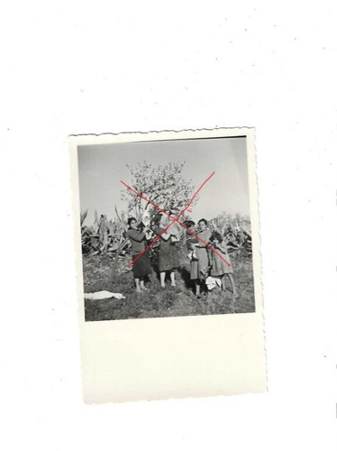 54661 foto wk zigeuner - nr.54661,
