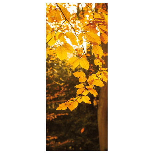 Display poster dekobanner - display-poster,