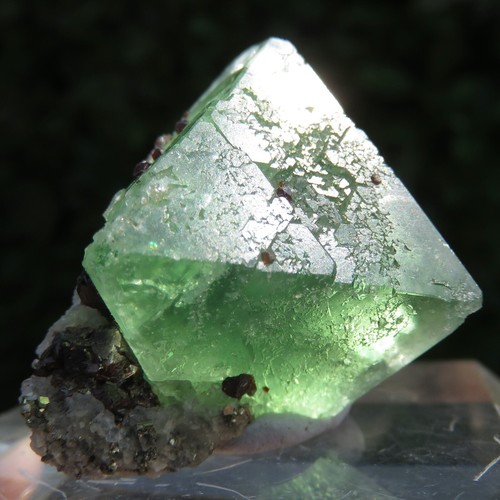 Mineralien rare fluorit - ***,