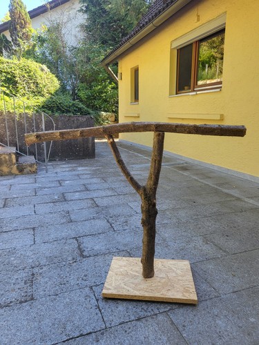 Kletterbaum freisitz - kletterbaum, /