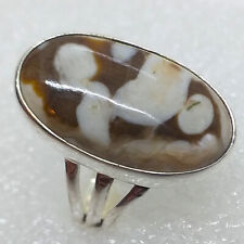 RARITÄT versteinertes Holz