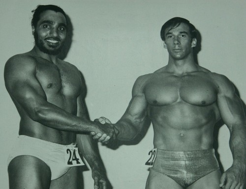 Bodybuilder muscle studio arax - muscle,
