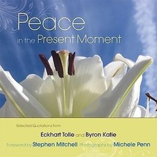 Peace the present moment - peace,
