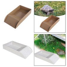Schildkröten-Reptilien-Pool
