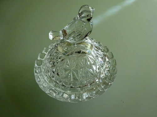 Glas dose mit - &, vogel