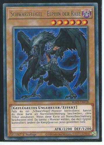 Schwarzflügel elphin - gi, oh