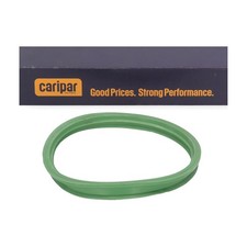 CARIPAR Dichtung