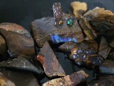 Rohopale Rough Opal Boulderopale aus Australien Roh Opale