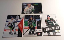 DEL Playercards * Adam Payerl