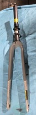 Carbon Starr Gabel Steckachse