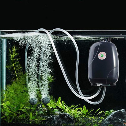 Belüfter teich aquarium - belüfter,