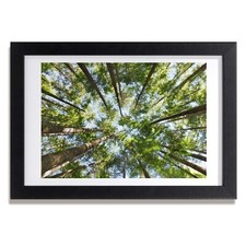 Tulup Bild MDF gerahmte Wand