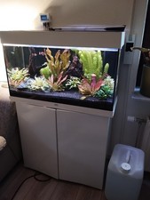 aquarium komplett Juwel Rio 125 l
