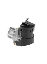 BorgWarner (Wahler) AGR Ventil