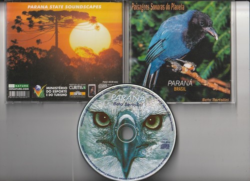 Beto bertolini parana brasil - beto,