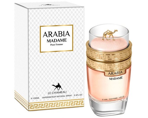 Emper chameau arabia madame - chameau,
