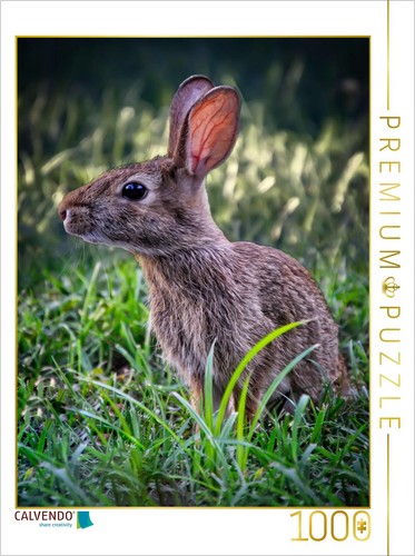 Calvendo puzzle niedliche - calvendo,