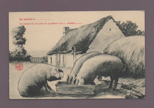 Witzige postkarte - witzige,