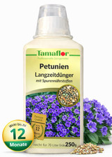 Dünger- Petunien  -Pflanzen