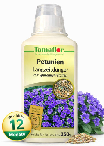 Dünger petunien pflanzen - dünger-,