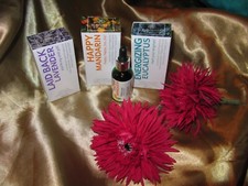 NEU! OVP! PartyLite BE