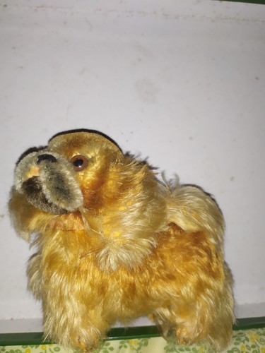 Alter steiff hund pekinese - alter,