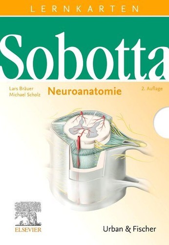 Sobotta lernkarten - sobotta,