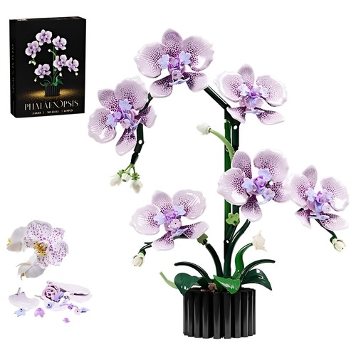619tlg orchidee blumen - 619tlg,