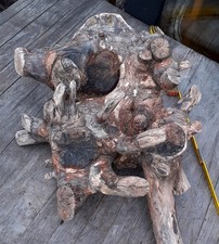 XL Treibholz Schwemmholz 🤩