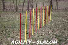 Agility slalom set - -,