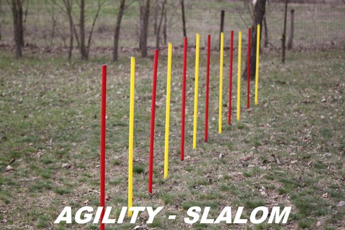 Agility slalom set - -,