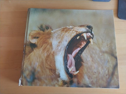 Wehrhaftes wild afrika - wehrhaftes,