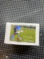 Sonic the hedgehog Original Wonder Festival 2025 Garage Kit Resin figure  