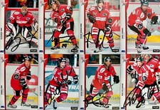 DEL PLAYERCARDS DEG Düsseldorfer EG METRO STARS 2005 2006 SIGNIERT 16 Karten RAR