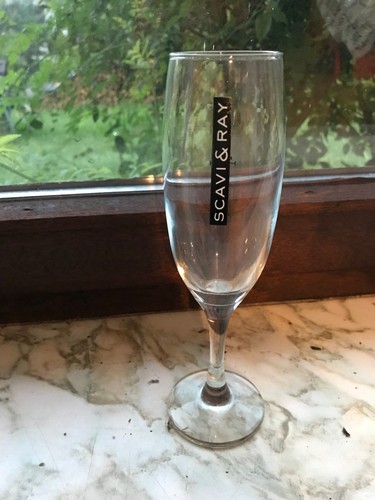 Scavi ray sekt gläser - &,