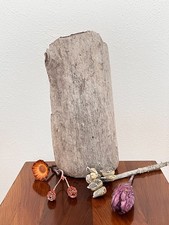 Schönes großes Treibholz Schwemmholz Lampe Driftwood  Basteln Dekoration