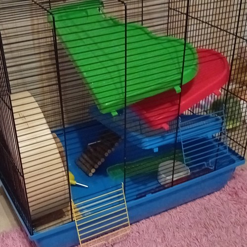 Hamsterkäfig kunststoff - hamsterkäfig,