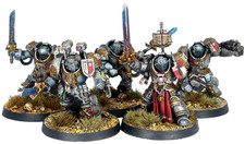 Warhammer 40K Space Marines Grey Knights Terminatoren / Paladins Squad