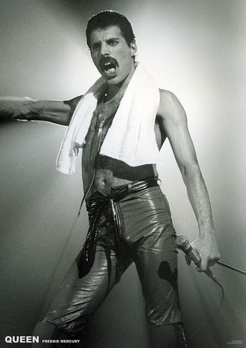 Queen poster freddie - poster, mercury