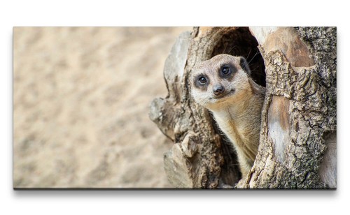 120x60cm leinwandbild - 120x60cm,