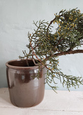 alter rustikaler  3l Krauttopf