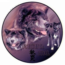 Design Aufkleber Motiv 3 Akita Inu gestromt Ken Japanischer Akita Autoaufkleber 
