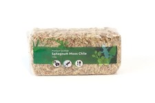 Sphagnum moos torfmoos - sphagnum,