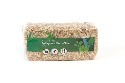 Sphagnum moos torfmoos - moos,