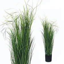 Wiesenschilfgras 55 cm