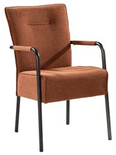 Polsterstuhl Stuhl Esstischstuhl Esszimmerstuhl Armlehnstuhl Webstoffbezug braun