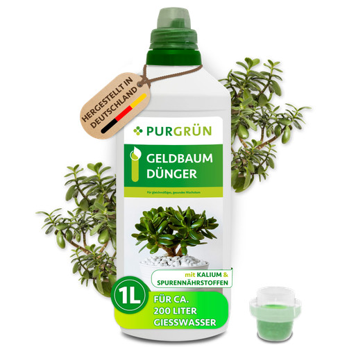 Purgrün geldbaum dünger npk - purgrün,