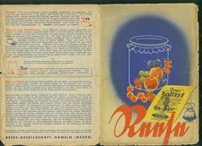 Altes Rezept-Faltblatt Reese Hameln Rezepte Salizyl Einkochen Einmachen 1930 er